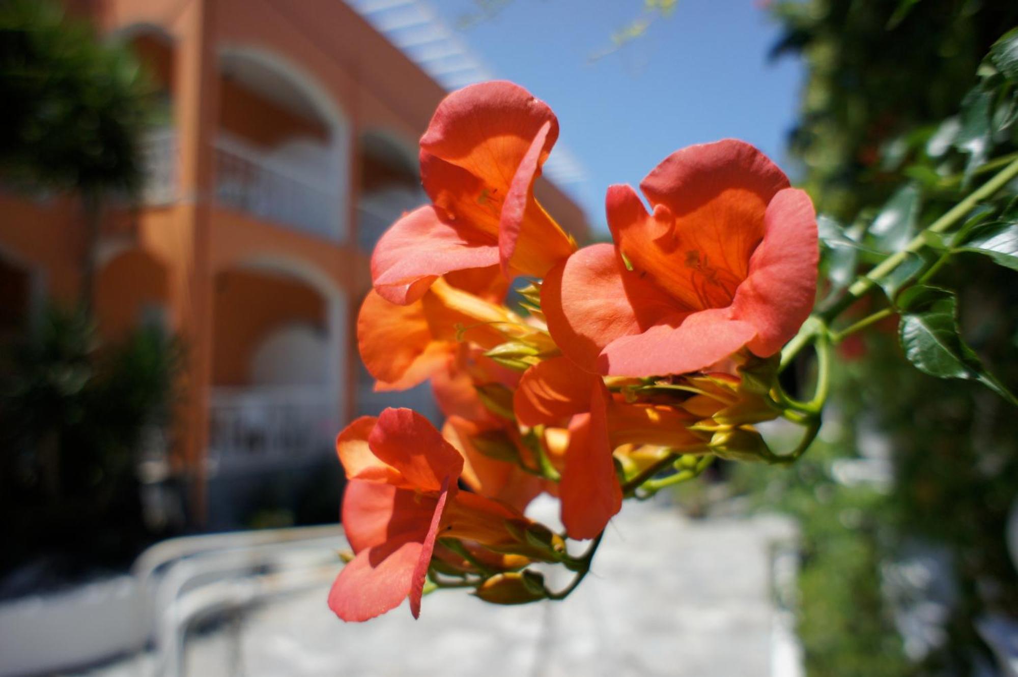 Hotel Benitses Arches Exterior foto